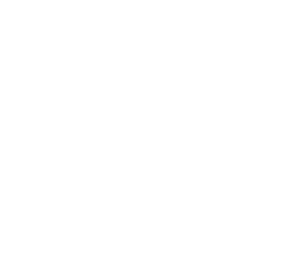 Web Icon